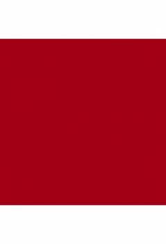 Gelosophy #005 Ruby Sun 15ml